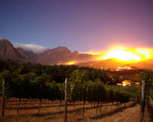 Thelema Wine Dinner at Michael Caines